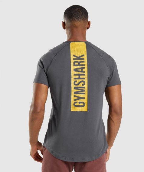 Men's Gymshark Bold T-Shirts Dark Grey | NZ 3YCESM